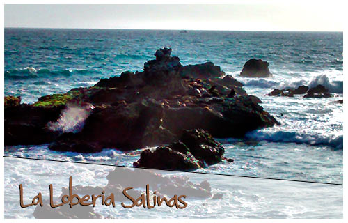 La-Loberia-Salinas.jpg